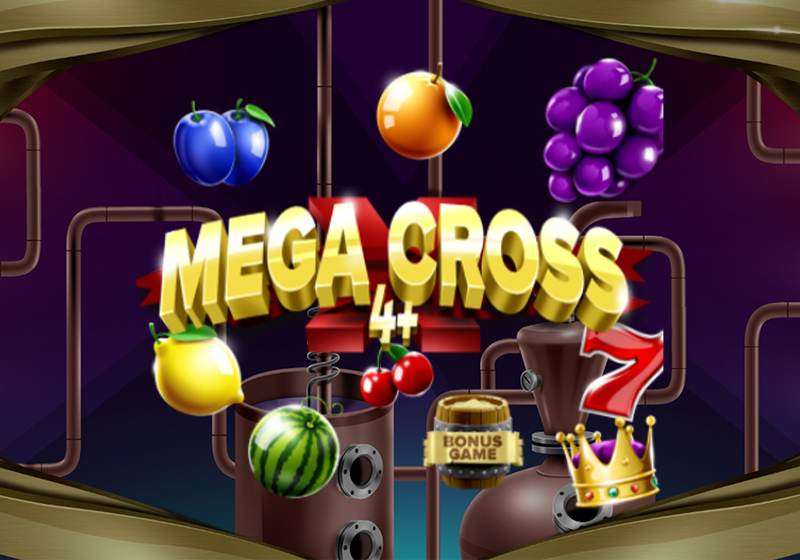 Mega Cross 4+ 